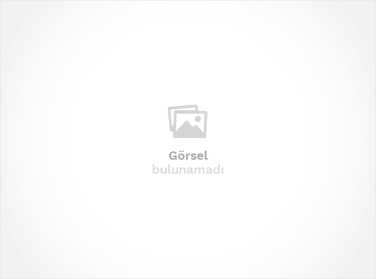Vizyon E-ticaret