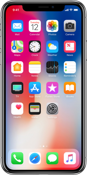 Apple iPhone X