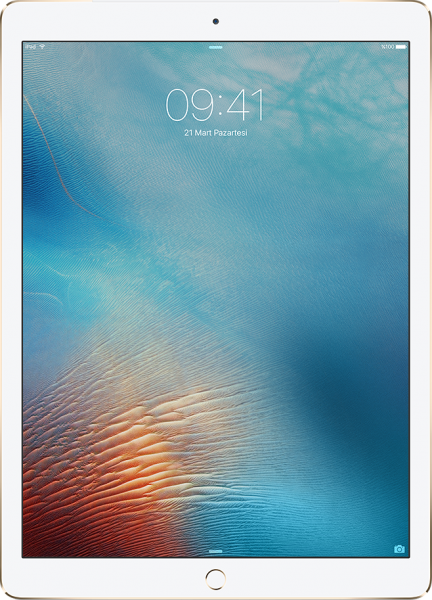 Apple iPad Pro 12.9" Tablet (256 GB) (1. Nesil)