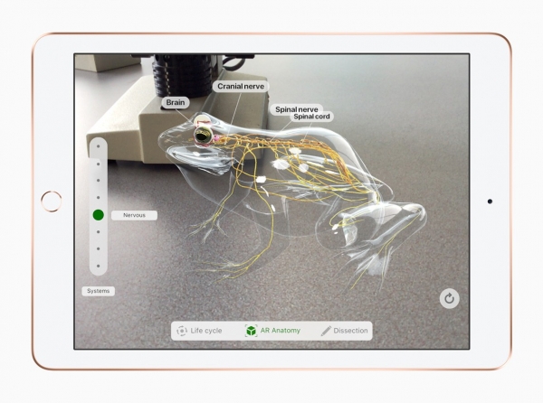 Apple iPad 6 Tablet (128 GB / 4G) — ürün görseli 10
