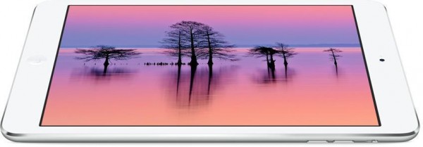 Apple iPad Mini 2 Retina Tablet (16 GB) — ürün görseli 16