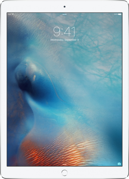 Apple iPad Pro 12.9" Tablet (256 GB / 4G) — ürün görseli 21