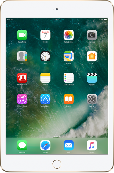Apple iPad Mini 4 Tablet (32 GB)