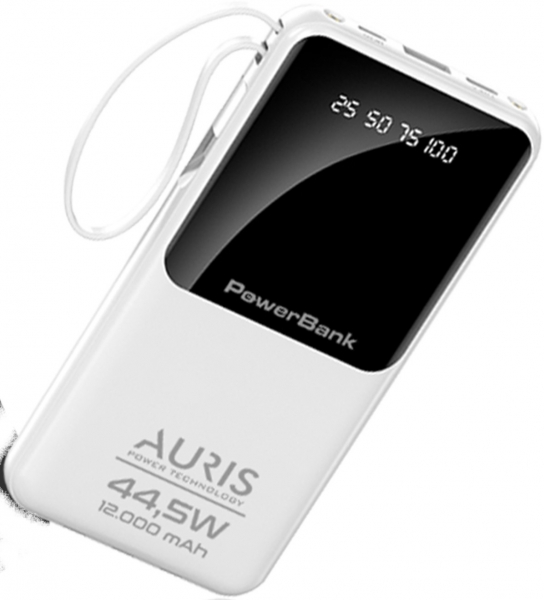 Auris YM532 12000 mAh Powerbank (ARS-YM532) — ürün görseli 2