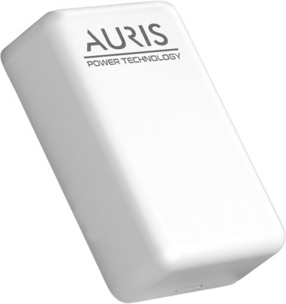 Auris MG02 10000 mAh Powerbank (ARS-MG02)