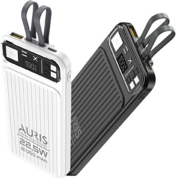 Auris Y309 12000 mAh Powerbank (ARS-Y309)