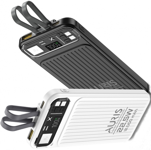 Auris Y309 12000 mAh Powerbank (ARS-Y309) — ürün görseli 2