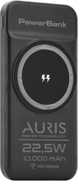 Auris WP19 10000 mAh Powerbank (ARS-WP19)