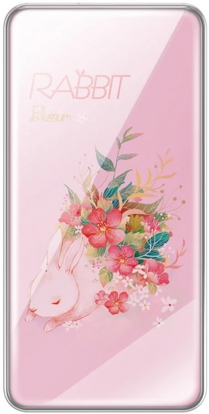Joyroom Painting PT-02 8000 mAh Powerbank (PT-D02) — ürün görseli 7