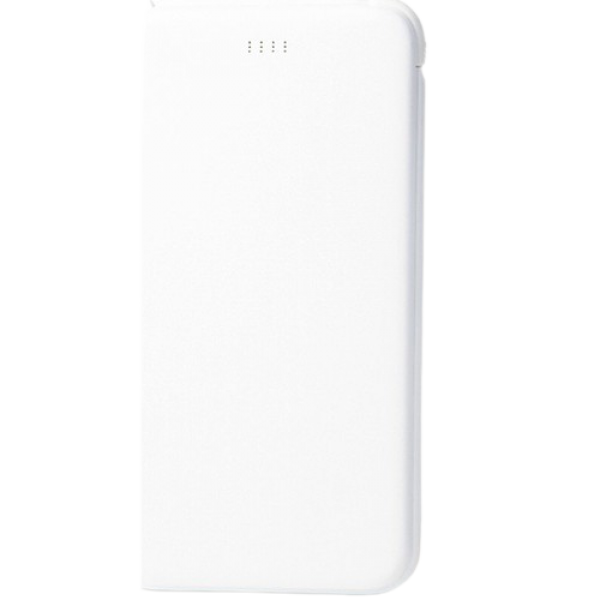 ACL PW-08 10000 mAh Powerbank — ürün görseli 2