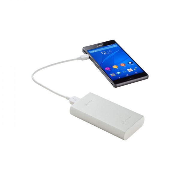 Sony CP-R10 10000 mAh Powerbank — ürün görseli 2