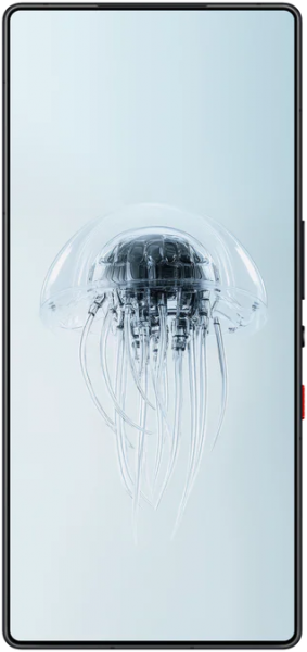 Nubia RedMagic 10 Pro (16 GB / 512 GB)