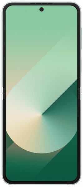 Samsung Galaxy Z Flip6 (512 GB) (SM-F741B) — ürün görseli 29