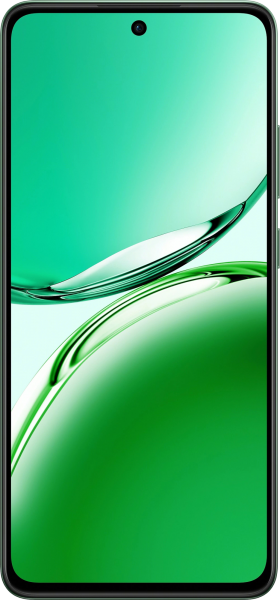 Oppo Reno11 FS (CPH2687)