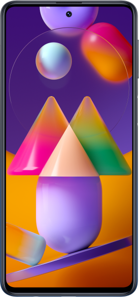Samsung Galaxy M31s (SM-M317F/DSN)