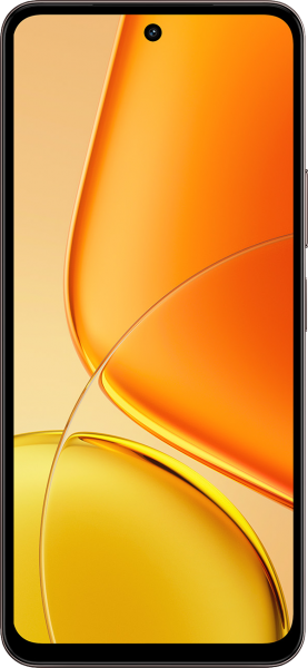 Vivo Y29 (V2434)