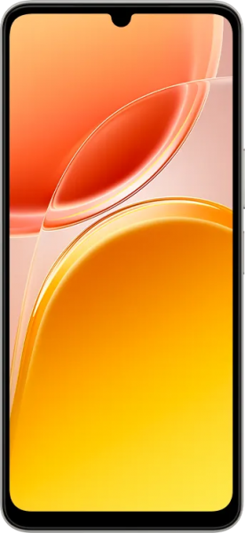 Vivo Y11d (6 GB / 256 GB) (V2555)