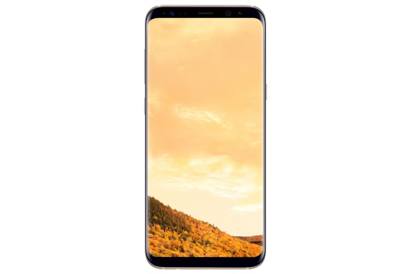 Samsung Galaxy S8+ Plus (Tek Hat) (SM-G955F) — ürün görseli 23