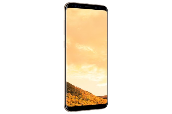 Samsung Galaxy S8+ Plus (Tek Hat) (SM-G955F) — ürün görseli 26