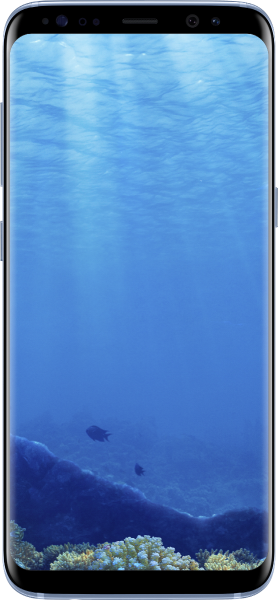 Samsung Galaxy S8 (Dual) (Çift Hat) (SM-G950FD) — ürün görseli 27