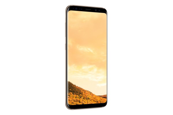 Samsung Galaxy S8 (Dual) (Çift Hat) (SM-G950FD) — ürün görseli 26