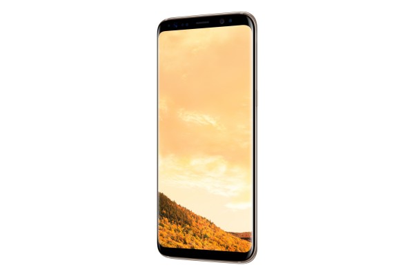 Samsung Galaxy S8 (Dual) (Çift Hat) (SM-G950FD) — ürün görseli 25