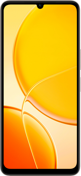 Vivo Y04 (4 GB / 128 GB) (V2430)
