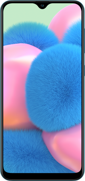 Samsung Galaxy A30s (SM-A307FN/DS)