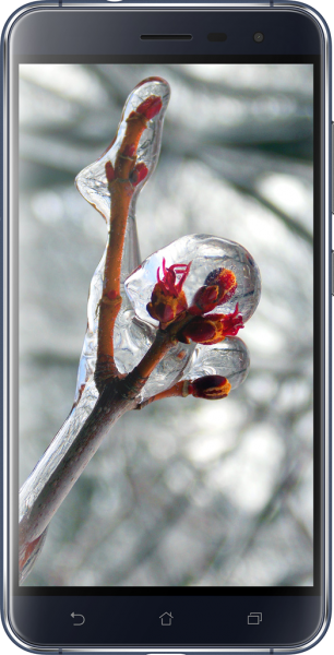 Asus ZenFone 3 (64 GB) (ZE552KL) — ürün görseli 34