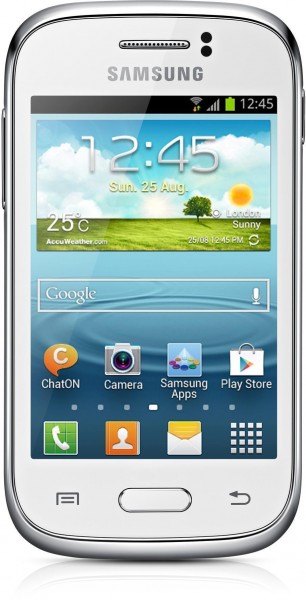 Samsung Galaxy Young (GT-S6310) — ürün görseli 10