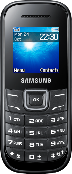 Samsung E1205 (GT-E1205)