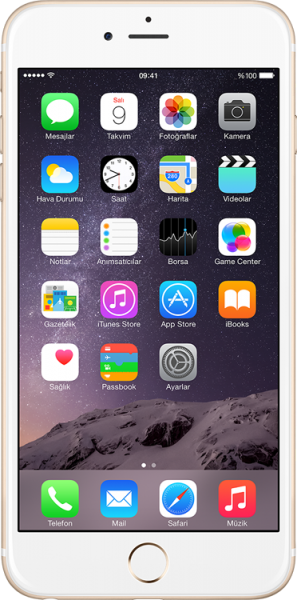 Apple iPhone 6 (16 GB) (MG482TU/A, MG472TU/A)