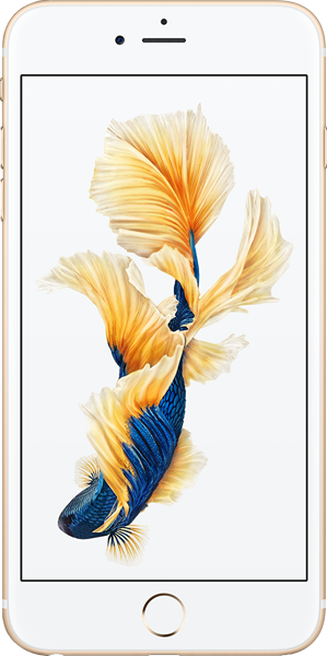 Apple iPhone 6s Plus (128 GB) (MKUE2TU/A, MKUG2TU/A, MKUF2TU/A, MKUD2TU/A)