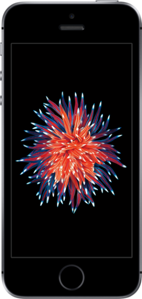 Apple iPhone SE (32 GB) (MP832TU/A, MP842TU/A, MP822TU/A, MP852TU/A)