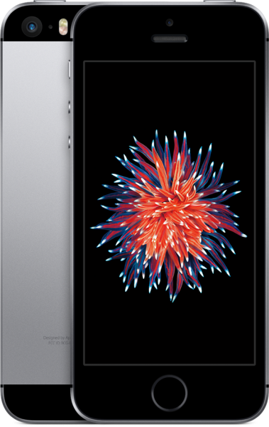 Apple iPhone SE (32 GB) (MP832TU/A, MP842TU/A, MP822TU/A, MP852TU/A) — ürün görseli 5