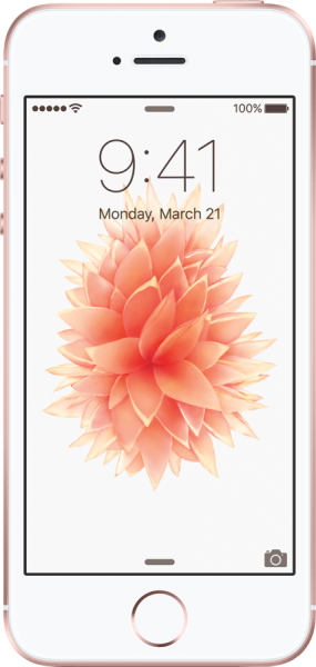 Apple iPhone SE (32 GB) (MP832TU/A, MP842TU/A, MP822TU/A, MP852TU/A) — ürün görseli 11