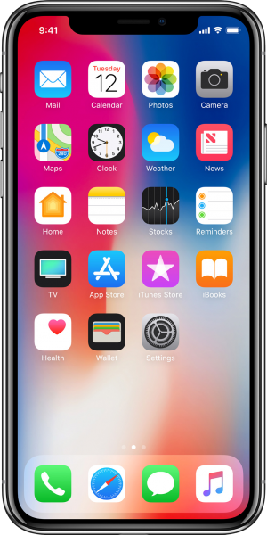 Apple iPhone X (256 GB) (MQAG2TU/A, MQAF2TU/A)