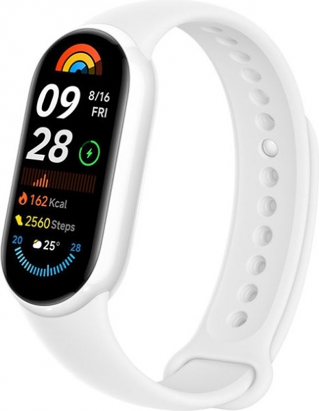 Xiaomi Smart Band 9 NFC Ceramic Special Edition Akıllı Bileklik (M2346B1)