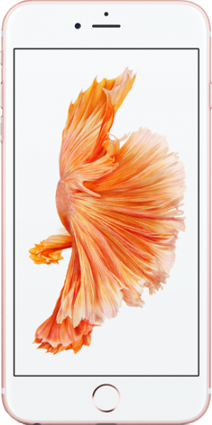 Apple iPhone 6s Plus (32 GB) (MN2W2TU/A, MN2X2TU/A, MN2V2TU/A, MN2Y2TU/A) — ürün görseli 12