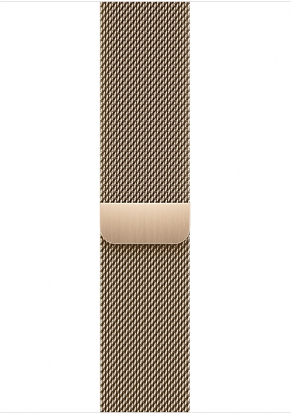 Apple Watch Series 9 Cellular 45mm Paslanmaz Çelik Kasa ve Milano Loop Akıllı Saat (MRMU3TU/A) — ürün görseli 5