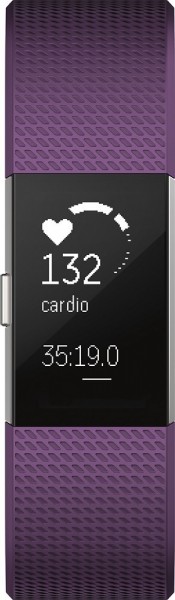 Fitbit Charge 2 Akıllı Bileklik — ürün görseli 11