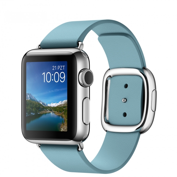 Apple Watch (38 mm) Paslanmaz Çelik Kasa ve Modern Tokalı Kutup Mavisi Kayış (Büyük Boy) Akıllı Saat — ürün görseli 5
