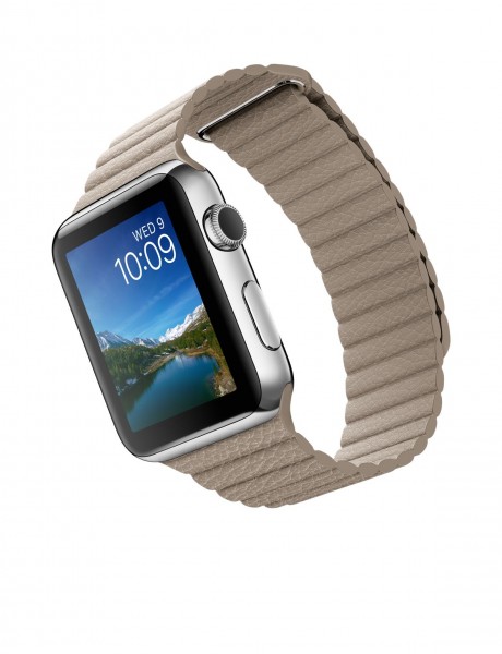 Apple Watch (42 mm) Paslanmaz Çelik Kasa ve Taş Rengi Deri Loop Akıllı Saat — ürün görseli 4