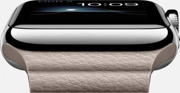 Apple Watch (42 mm) Paslanmaz Çelik Kasa ve Taş Rengi Deri Loop Akıllı Saat — ürün görseli 10
