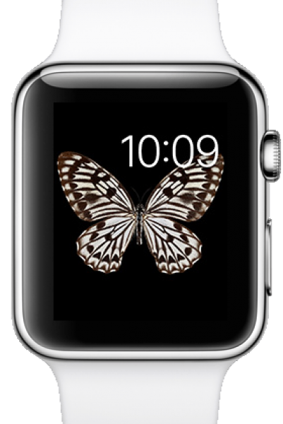 Apple Watch (38 mm) Paslanmaz Çelik Kasa ve Beyaz Spor Kordon Akıllı Saat — ürün görseli 7