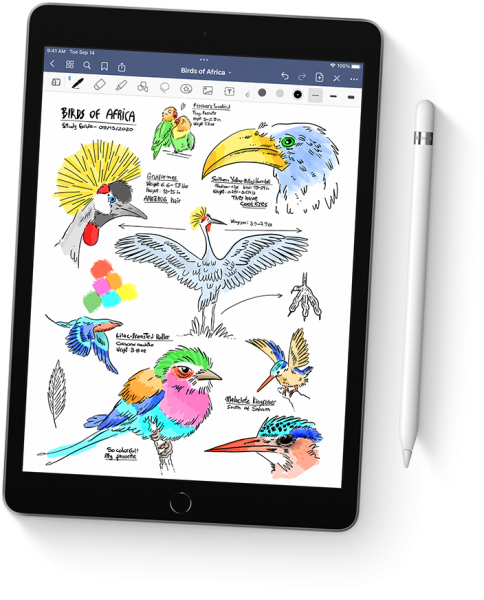 Apple iPad 9 Tablet (3 GB / 256 GB) (MK2P3TU/A) — ürün görseli 6