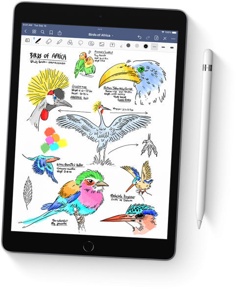 Apple iPad 9 Tablet (3 GB / 64 GB) (MK2L3TU/A) — ürün görseli 6