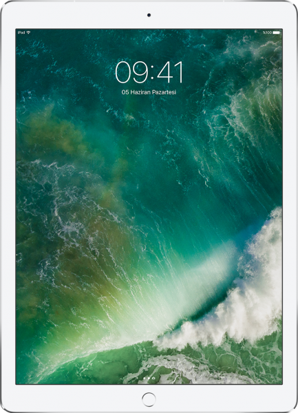 Apple iPad Pro 12.9" Tablet (512 GB / 4G)