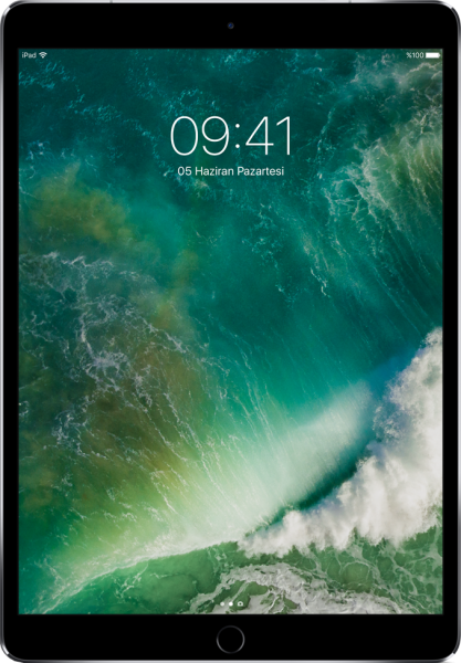 Apple iPad Pro 10.5" Tablet (256 GB) (Wi-Fi + Cellular)